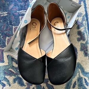 Shapen Poppy Flats 39